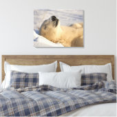 Poolbeer slaap canvas afdruk (Insitu (Slaapkamer))