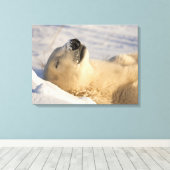 Poolbeer slaap canvas afdruk (Insitu (Houten vloer))