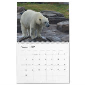 Poolbeer Thema 2027 Muurkalender Kalender (Feb 2027)