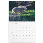 Poolbeer Thema 2027 Muurkalender Kalender (Mar 2027)