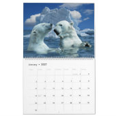 Poolbeer Thema 2027 Muurkalender Kalender (Jan 2027)