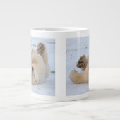 poolbeer, Ursus maritimus, kubbel rollen 3 Grote Koffiekop (Voorkant)