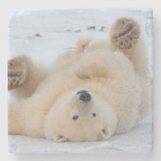 poolbeer, Ursus maritimus, kubbel rollen 3 Stenen Onderzetter (Voorkant)