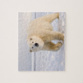 poolbeer, Ursus maritimus, op ijs en sneeuw, 2 Legpuzzel (Verticaal)