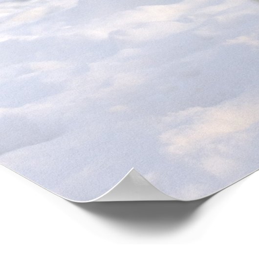 poolbeer, Ursus maritimus, op ijs en sneeuw, 2 Poster (Hoek)