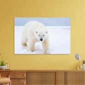 poolbeer, Ursus maritimus, op ijs en sneeuw; Canvas Afdruk (Insitu (Woonkamer))