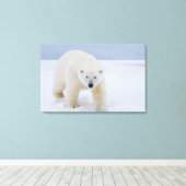 poolbeer, Ursus maritimus, op ijs en sneeuw; Canvas Afdruk (Insitu (Houten vloer))