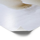 poolbeer, Ursus maritimus, op ijs en sneeuw; Foto Afdruk (Hoek)