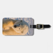 poolbeer, Ursus maritimus, poolbeer op ijs Bagagelabel (Voorkant horizontaal)