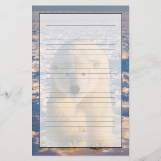 poolbeer, Ursus maritimus, poolbeer op ijs Briefpapier (Voorkant)