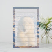 poolbeer, Ursus maritimus, poolbeer op ijs Briefpapier (Staand voorkant)