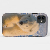 poolbeer, Ursus maritimus, poolbeer op ijs Case-Mate iPhone Case (Achterkant (horizontaal))