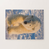 poolbeer, Ursus maritimus, poolbeer op ijs Legpuzzel (Horizontaal)