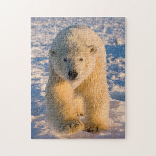 poolbeer, Ursus maritimus, poolbeer op ijs Legpuzzel (Verticaal)