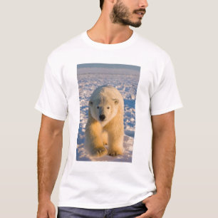 poolbeer, Ursus maritimus, poolbeer op ijs T-shirt