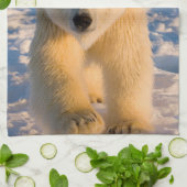 poolbeer, Ursus maritimus, poolbeer op ijs Theedoek (Gevouwen)