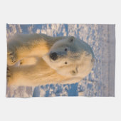 poolbeer, Ursus maritimus, poolbeer op ijs Theedoek (Horizontaal)