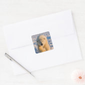 poolbeer, Ursus maritimus, poolbeer op ijs Vierkante Sticker (Envelop)