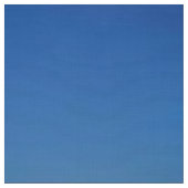 Poolbeer Zonnebloem Bloem Stof (Swatch)