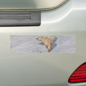 Poolbeerfamilie in de arctische sneeuw bumpersticker (Op auto)