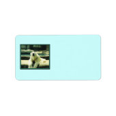 Poolbeerlabels Etiket (Voorkant)