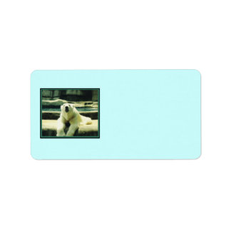 Poolbeerlabels Etiket