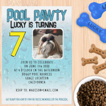 Poolfeest puppy honden custom foto verjaardagsfees