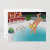 poolkat briefkaart (Voorkant / Achterkant)