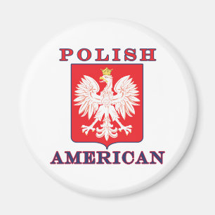 Pools Amerikaans Eagle Shield Magneet