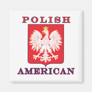 Pools Amerikaans Eagle Shield Magneet