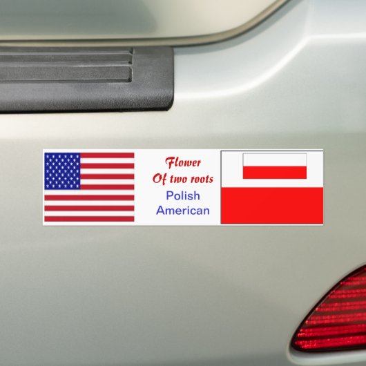 Pools-amerikaanse bumpersticker (Op auto)