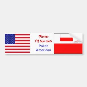 Pools-Amerikaanse bumperstickers