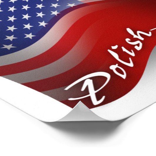 Pools-Amerikaanse golfvlag Poster (Hoek)