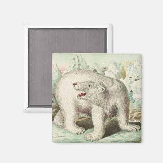 Pools Beer Magneet (Voorkant / Achterkant)