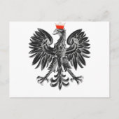 Pools Eagle Briefkaart - Pools papierproduct (Voorkant)