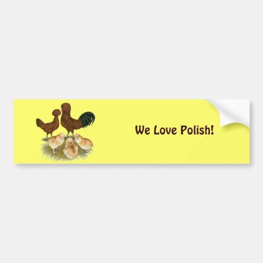 Pools: Rode familie Bumpersticker (Voorkant)