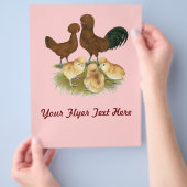 Pools:  Rode Familie Flyer (Hand)