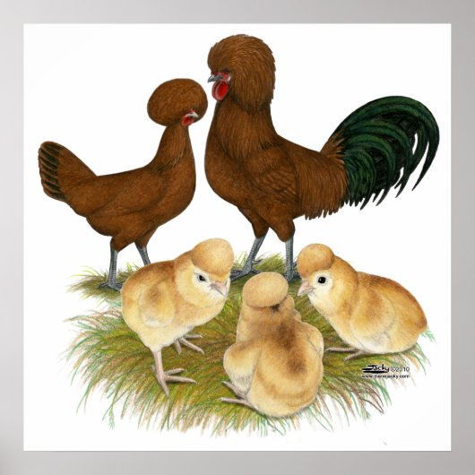 Pools: Rode familie Poster (Voorkant)