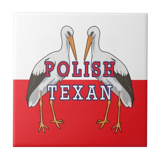 Pools Texan White Stork Tegeltje (Voorkant)