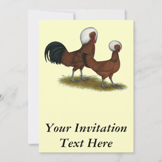 Pools: Witte kreuken Kaart (Voorkant)