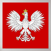 Poolse adelaar poster (Voorkant)