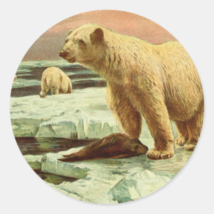 poolse beren op gletsjers -  kunsttekening van 190 ronde sticker