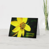 Poolse Birthday Sto Lat Sunflower Kaart (Voorkant)