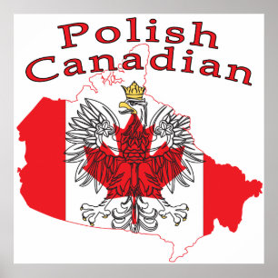 Poolse Canadese vlag Poster