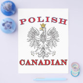 Poolse Canadese witte adelaar Flyer (Enkel)