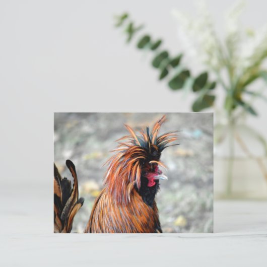 Poolse Crested Rooster Briefkaart (Staand voorkant)