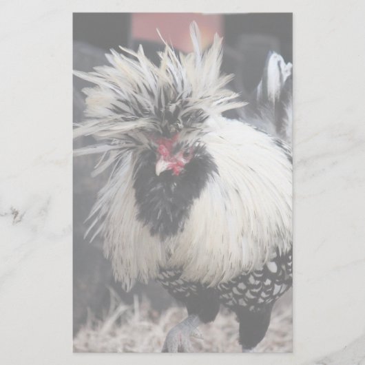 Poolse Crested Rooster Briefpapier (Voorkant)