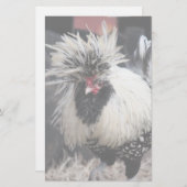 Poolse Crested Rooster Briefpapier (Voorkant / Achterkant)