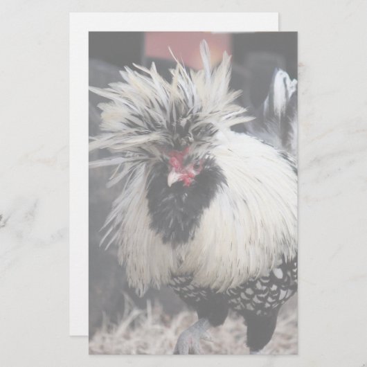 Poolse Crested Rooster Briefpapier (Voorkant / Achterkant)