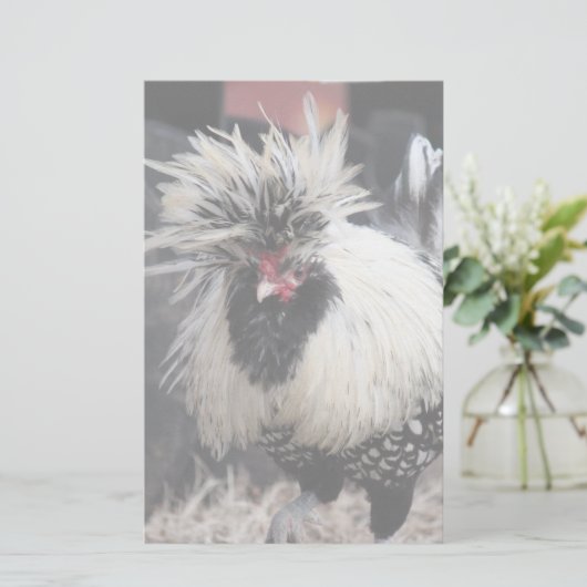 Poolse Crested Rooster Briefpapier (Staand voorkant)